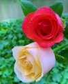 FB_IMG_1655139022842.jpg