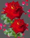 FB_IMG_1655065882860.jpg
