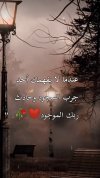 IMG_٢٠٢٢٠٦١٧_١٨٠٠٣٠.jpg