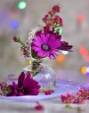 FB_IMG_1655834252728.jpg