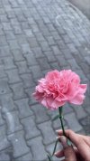 FB_IMG_1656162661229.jpg