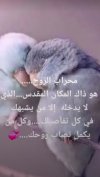 IMG_٢٠٢٢٠٦٢٤_١٥١٢١٤.jpg