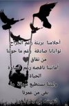 IMG_٢٠٢٢٠٦٢٤_١٥١٣٠٦.jpg