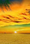 IMG_٢٠٢٢٠٦٢٧_١٦٥٨٣٧.jpg
