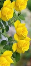 IMG_٢٠٢١٠٩٠٢_١٦٥٦٤٦.jpg