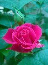 FB_IMG_1655751286199.jpg