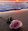 FB_IMG_1656706061814.jpg
