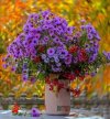 FB_IMG_1657611755630.jpg