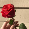 1658045601460.png
