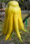 1659631025885.png 1659631025885.png
