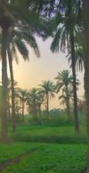 IMG_٢٠٢٢٠٨٠٧_١١٣٣٤٣.jpg