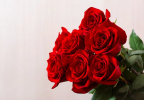 1661101871767.png