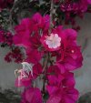 IMG_٢٠٢٢٠٧٢٣_١٠٥٥٢٢.jpg