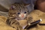 1662310714577.png