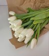 tulips-1.jpeg