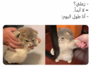 Screenshot_٢٠٢٣-٠١-٢٣-٠٠-١١-٠٤-1.png