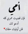 FB_IMG_1646743313492.jpg