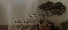 FB_IMG_1676521738761.jpg