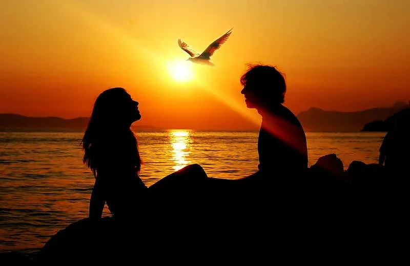 desktop-wallpaper-sunset-sea-sun-summer-love-silhouette-bird-girl-man-gull-seagull-dom-ray.webp