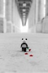 3F24D2E8-428A-4F11-9F75-9DDA63C0B318.jpeg