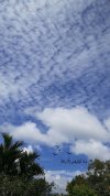 IMG_20230225_085424_310.jpg