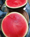 1677870013406.png