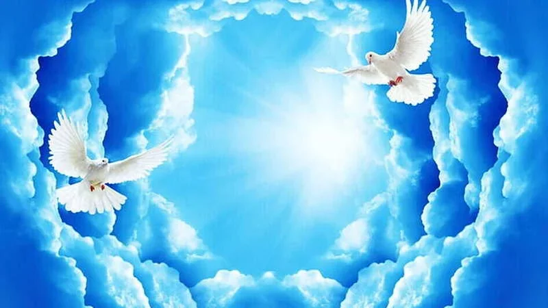 desktop-wallpaper-dove-background-peaceful-dove-dove-and-dove-background-funeral-clouds.webp