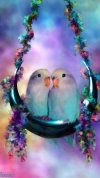 desktop-wallpaper-love-birds-couple-birds.jpg