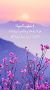 1678630641309.png
