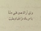 نتل-1024x768.jpg