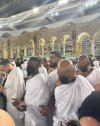 مايك2.jpg