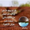 احلي-صور-حكم-عن-الحياة-1.jpg