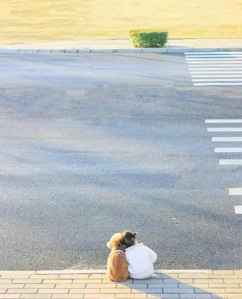 FB_IMG_1678105108051.webp FB_IMG_1678105108051.webp