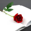 صور-ورد-منوعة-45.jpg