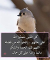 1679305532315.png