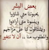 -وامثال-11.png