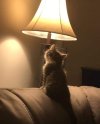 FB_IMG_1659630479955.jpg