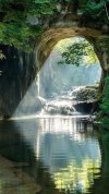 desktop-wallpaper-nature-beautiful-nature.jpg