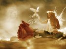 desktop-wallpaper-angel-of-peace-angel-peace-red-rose-white-dove.webp