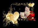 desktop-wallpaper-emotional-and-romantic-love-emotional-romantic-and-love.jpg