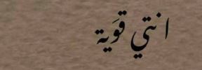 1679624195716.png