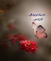 1679742240795.png