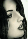 1680046040379.png