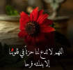 1680059927921.png