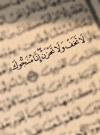 1680143810186.png