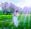 127204.desktop-wallpaper-spring-song-rays-flute-blossoms-.jpg