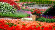 desktop-wallpaper-spring-flowers-park-gardens-flowers-parks-nature-spring.jpg