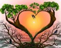 desktop-wallpaper-love-is-in-the-air-birds-love-branches-shape-heart-sun-tree.webp