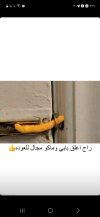 Screenshot_٢٠٢٣٠٣٠٩_١٤١٩١٦_Instagram.jpg