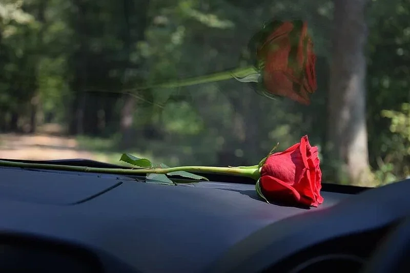 red-rose-on-car-dashboard-reflection-on-car-glass-sun-ray-love-romantic-romance-feeling-emoti...webp